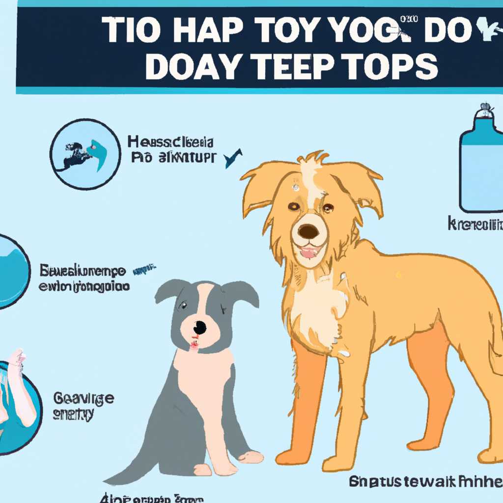 Как делать купание при частых прогулках на улице