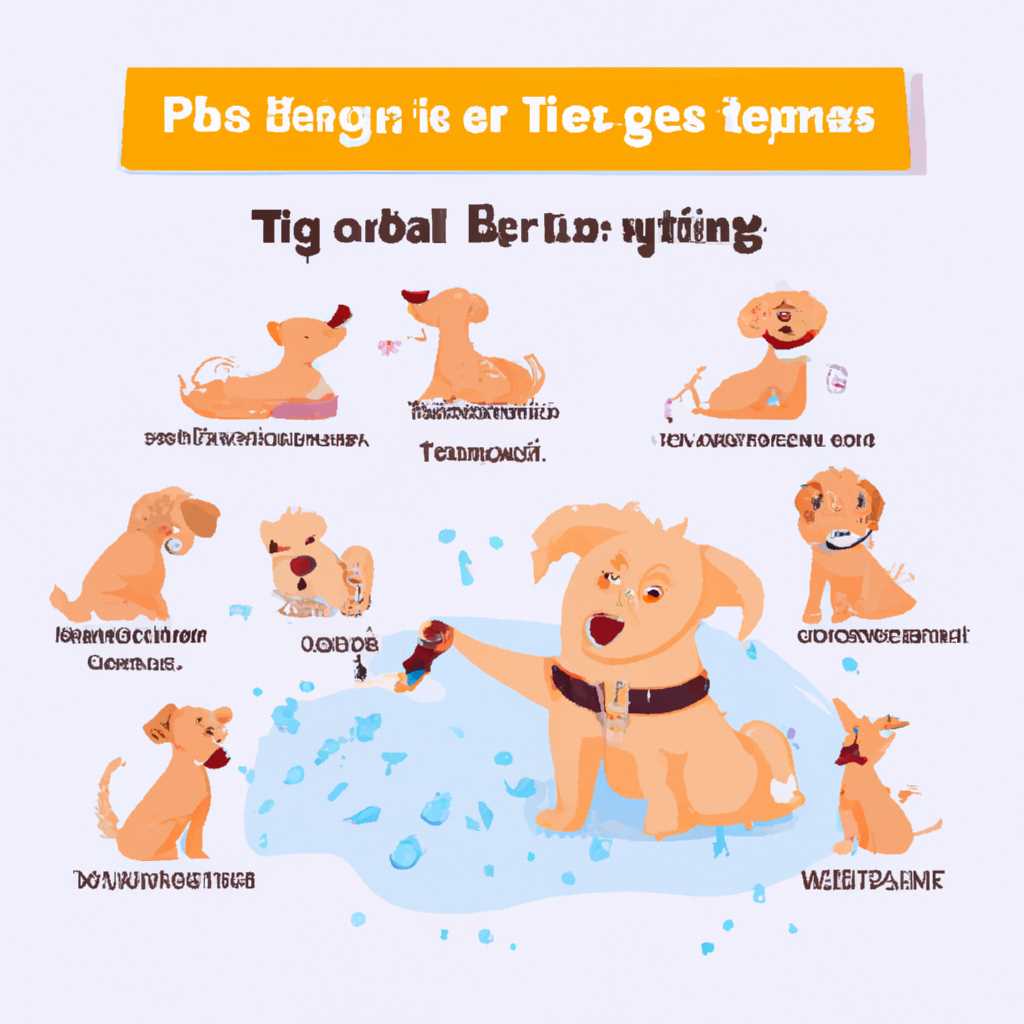 Выбор места