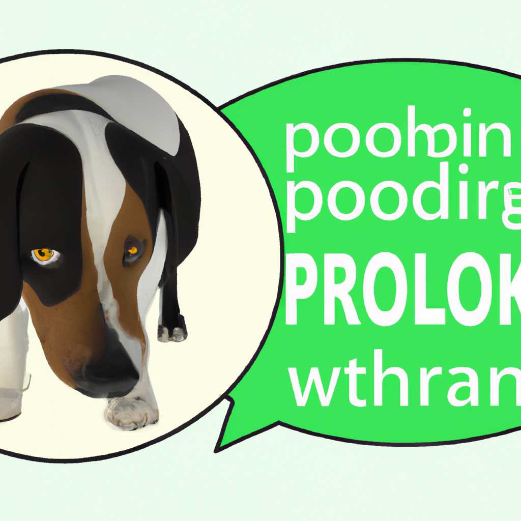 Привлечение внимания и игра собаки