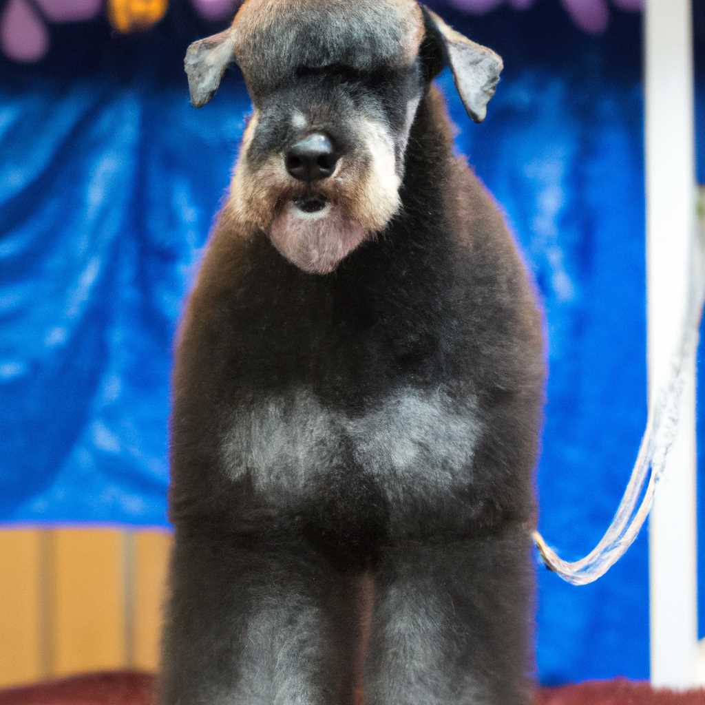 5. Легкий уход