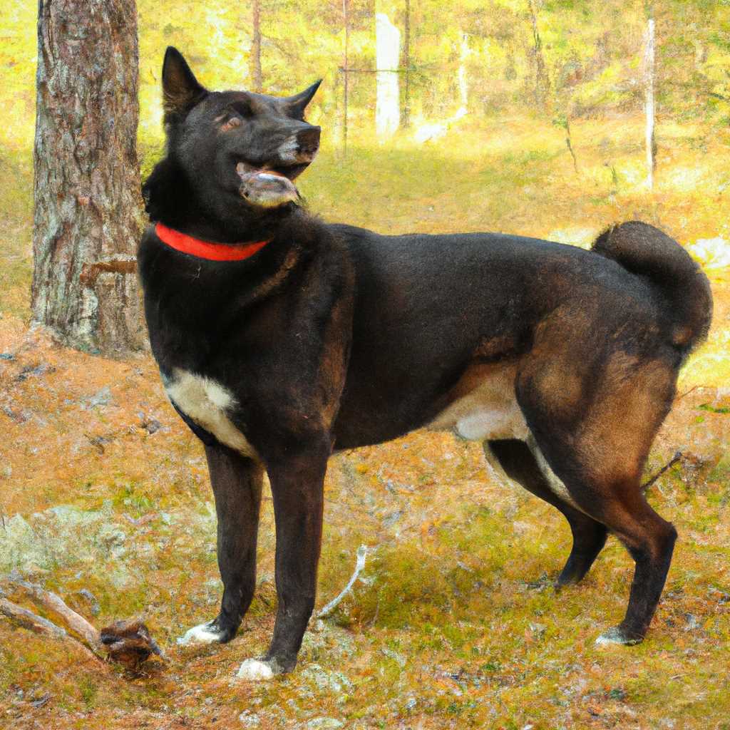 Внимание к окружающей среде