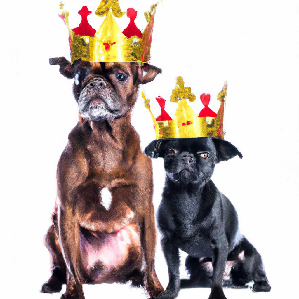 Собака kingdom two crowns